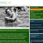 web-design-energilab-03