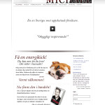 web-design-michael-sodermalm-2013-01