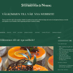 web-design-steinbrenner-2012-site-design-03-03