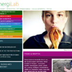 web-design-energilab-07