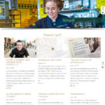 web-design-steinbrenner-2017-03